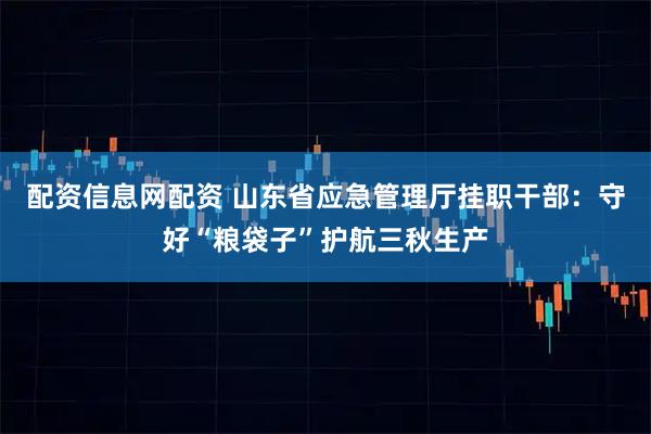 配资信息网配资 山东省应急管理厅挂职干部:守好“粮袋子”护航三秋生产