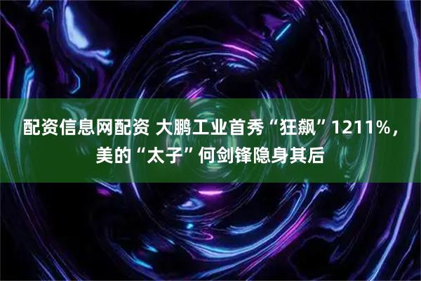 配资信息网配资 大鹏工业首秀“狂飙”1211%,美的“太子”何剑锋隐身其后