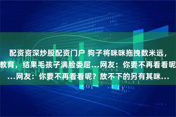 配资资深炒股配资门户 狗子将咪咪拖拽数米远，愣是不松口，主人生气教育，结果毛孩子满脸委屈…网友：你要不再看看呢？放不下的另有其咪…